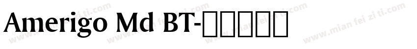 Amerigo Md BT字体转换